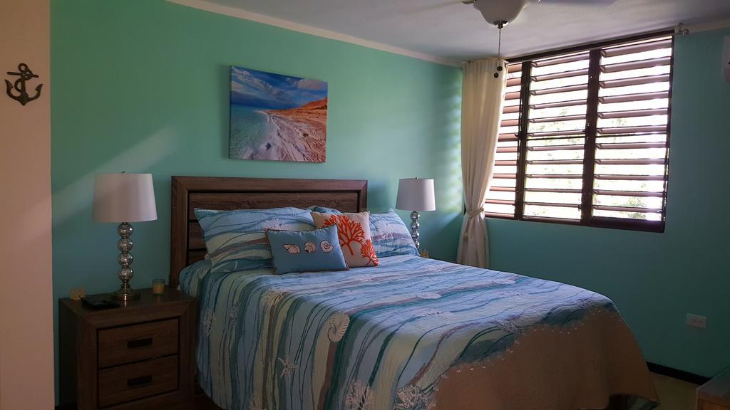 Fully Air-Conditioned Beach Front Penthouse Apartment Naguabo Εξωτερικό φωτογραφία